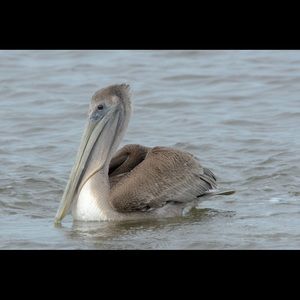 Meet your Posher, Christa